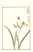 photo25_small.jpg