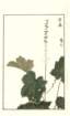 photo28_small.jpg
