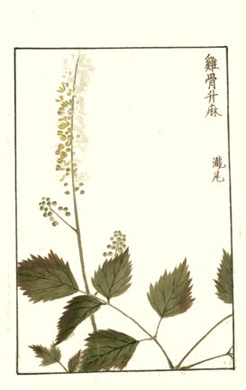 photo29.jpg