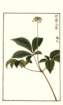 photo2_small.jpg