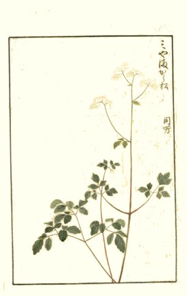 photo31.jpg