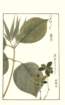 photo32_small.jpg
