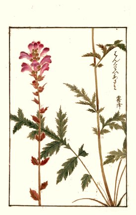 photo35.jpg
