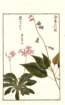photo36_small.jpg