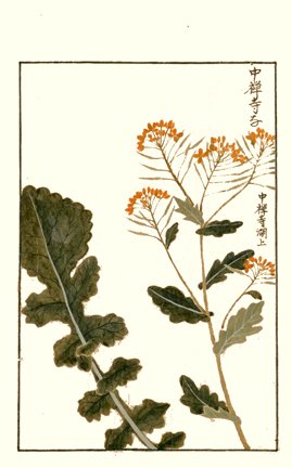 photo37.jpg