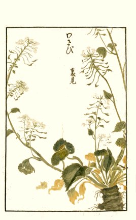 photo38.jpg