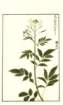 photo40_small.jpg