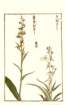 photo49_small.jpg