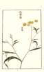photo53_small.jpg