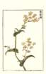 photo54_small.jpg