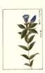 photo55_small.jpg