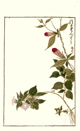 photo56.jpg