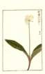 photo57_small.jpg