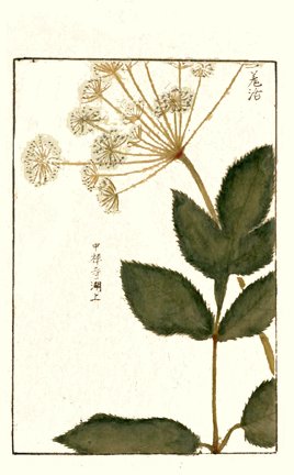 photo58.jpg