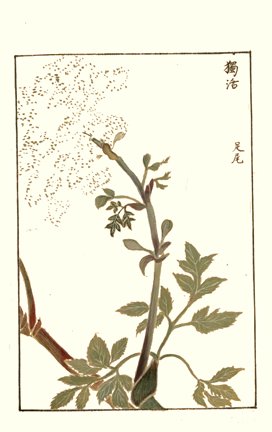 photo59.jpg