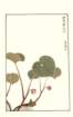 photo5_small.jpg