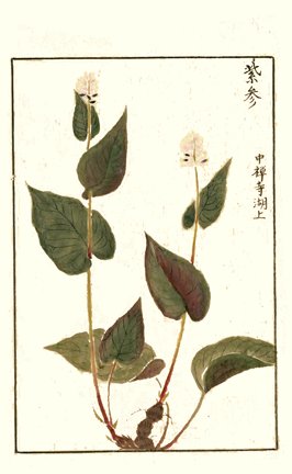 photo63.jpg