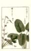 photo66_small.jpg