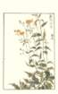photo67_small.jpg