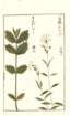 photo69_small.jpg