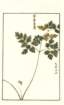 photo6_small.jpg