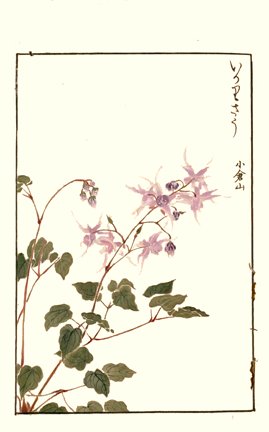 photo70.jpg