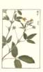 photo72_small.jpg