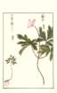 photo73_small.jpg