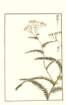 photo75_small.jpg