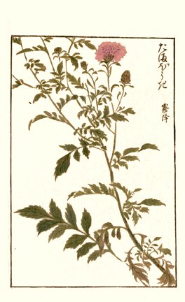 photo77.jpg