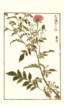 photo77_small.jpg