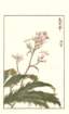 photo80_small.jpg