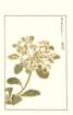 photo88_small.jpg