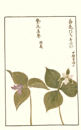photo9.jpg