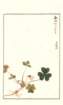 photo91_small.jpg