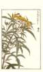 photo94_small.jpg