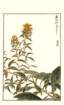 photo95_small.jpg