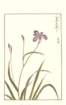 photo97_small.jpg