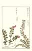 photo98_small.jpg