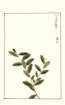 photo99_small.jpg