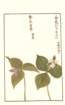 photo9_small.jpg