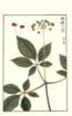 photo_small.jpg