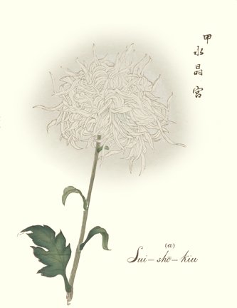 photo11.jpg