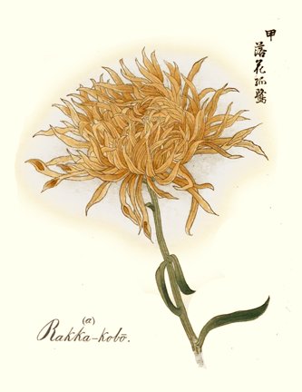 photo15.jpg
