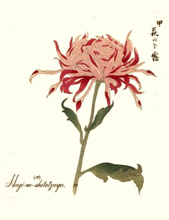 photo16.jpg