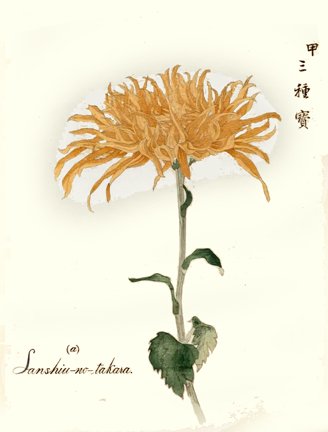 photo18.jpg
