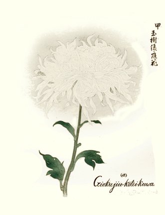 photo2.jpg