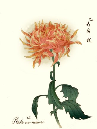 photo6.jpg