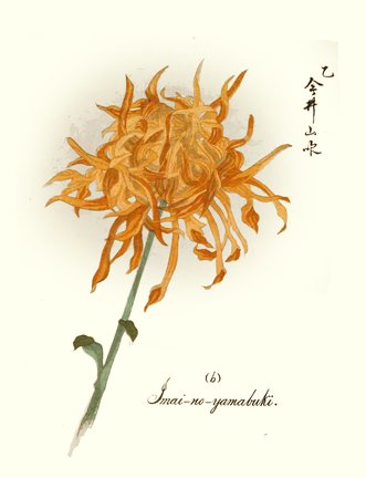 photo9.jpg