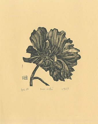 photo40.jpg